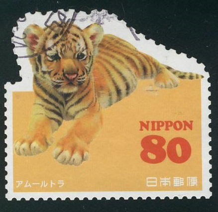 Amur Tiger Cub Postage Stamp Japan 2013