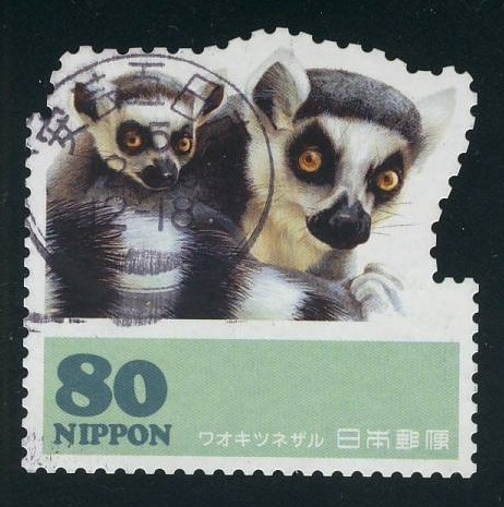 Baby Ring Tailed Lemur Postage Stamp Japan 2013