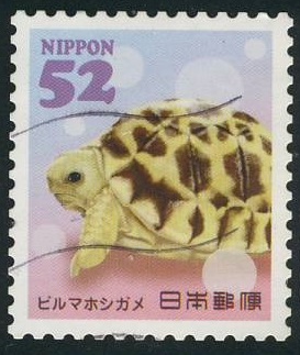 Baby Tortoise Postage Stamp Japan Year 2014