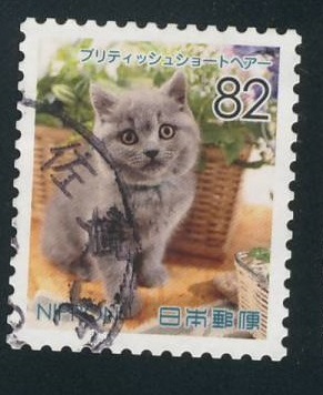 British shorthair cat Postage Stamp Japan 2016