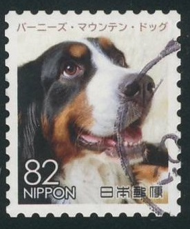 Japan Bernese Mountain Dog Postage Stamp 2017