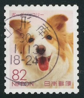 Japan Border Collie Dog Postage Stamp 2017