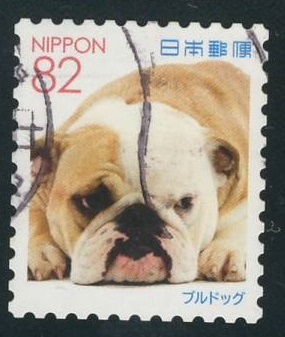 Japan Bulldog Postage Stamp 2017